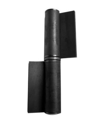 charnières soudables résistantes de baril de 20x120mm sur l'oscillation de porte avec le drapeau de couleur d'individu de joint