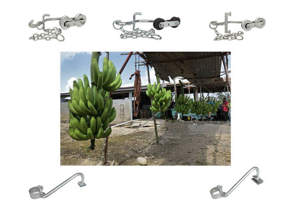 la banane 150kg-220KG accroche les rouleaux accrochants pour l'équipement de transport facile